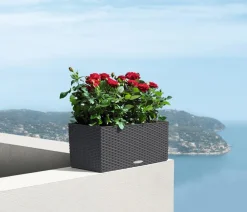 LECHUZA® Pflanzkübel & Blumenkästen|Lechuza Pflanzgefäße & Töpfe - Kunststoff-Kasten Balconera Cottage, rechteckig Dunkelgrau