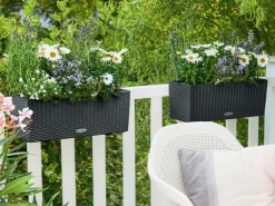 LECHUZA® Kunststoff-Kasten Balconera Cottage, rechteckig Schwarz