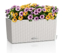 LECHUZA® Pflanzkübel & Blumenkästen|Lechuza Pflanzgefäße & Töpfe - Kunststoff-Kasten Balconera Cottage, rechteckig Weiß