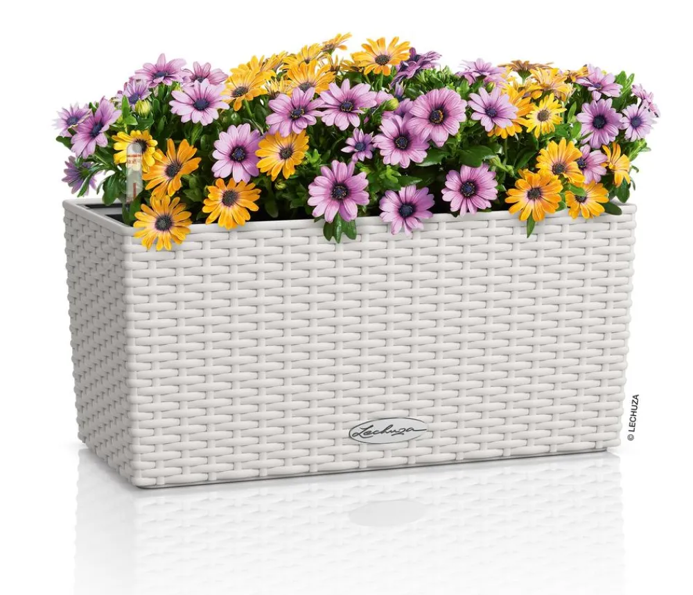 LECHUZA® Pflanzkübel & Blumenkästen|Lechuza Pflanzgefäße & Töpfe - Kunststoff-Kasten Balconera Cottage, rechteckig Weiß