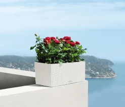 LECHUZA® Pflanzkübel & Blumenkästen|Lechuza Pflanzgefäße & Töpfe - Kunststoff-Kasten Balconera Cottage, rechteckig Weiß