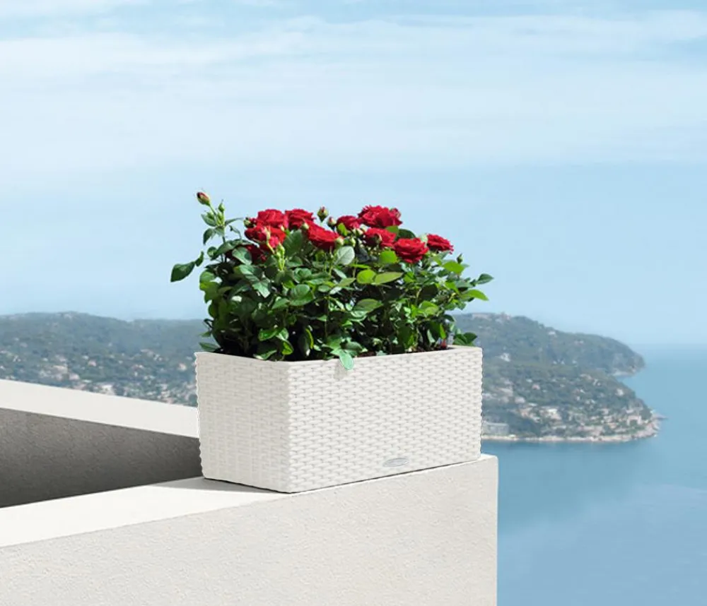 LECHUZA® Pflanzkübel & Blumenkästen|Lechuza Pflanzgefäße & Töpfe - Kunststoff-Kasten Balconera Cottage, rechteckig Weiß