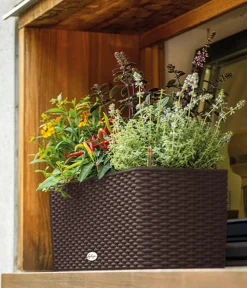 LECHUZA® Pflanzkübel & Blumenkästen|Lechuza Pflanzgefäße & Töpfe - Kunststoff-Kasten Balconera Cottage, rechteckig Dunkelbraun