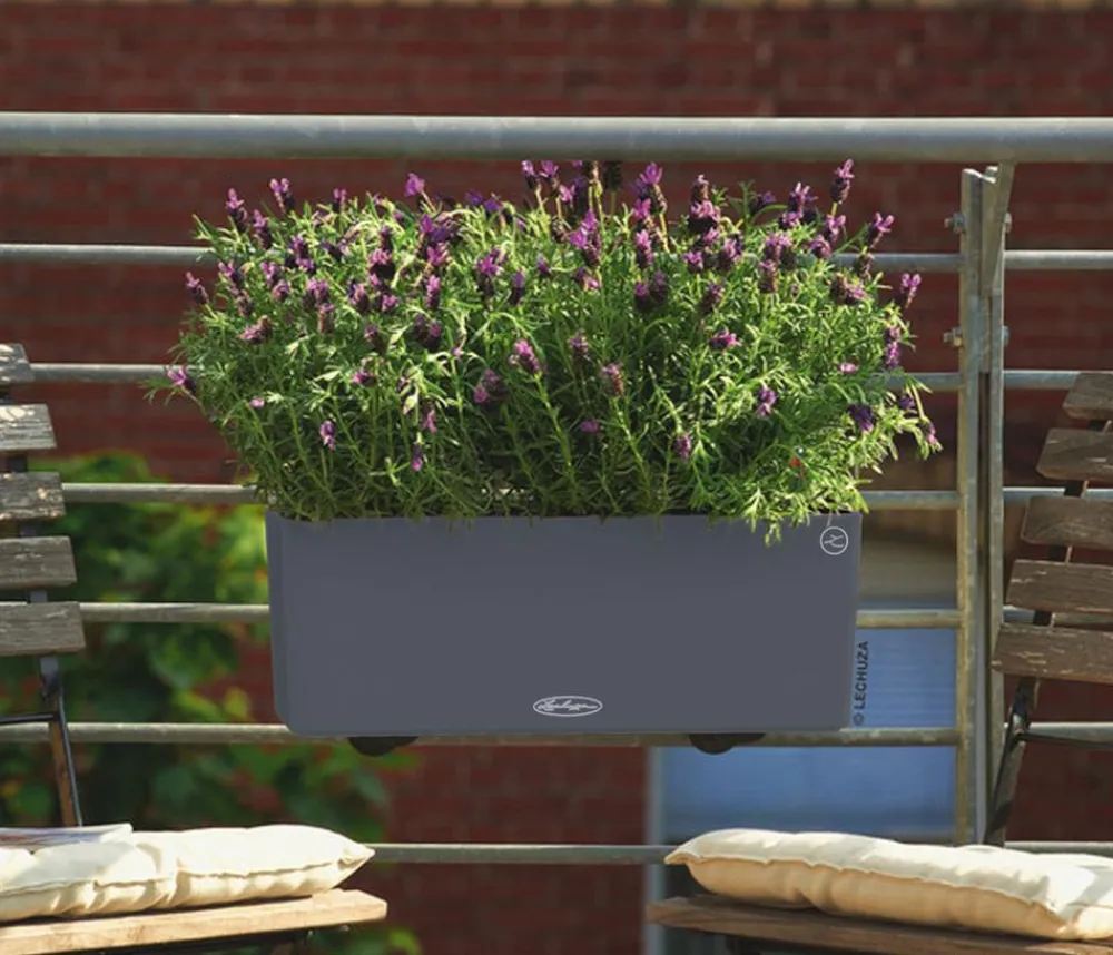LECHUZA® Kunststoff-Kasten Balconera Color, rechteckig Dunkelgrau Hot