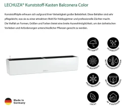 LECHUZA® Kunststoff-Kasten Balconera Color, rechteckig Weiß Sale
