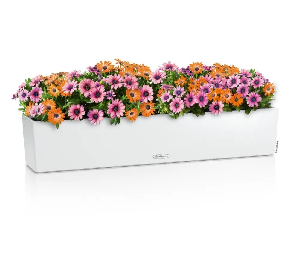 LECHUZA® Kunststoff-Kasten Balconera Color, rechteckig Weiß Sale