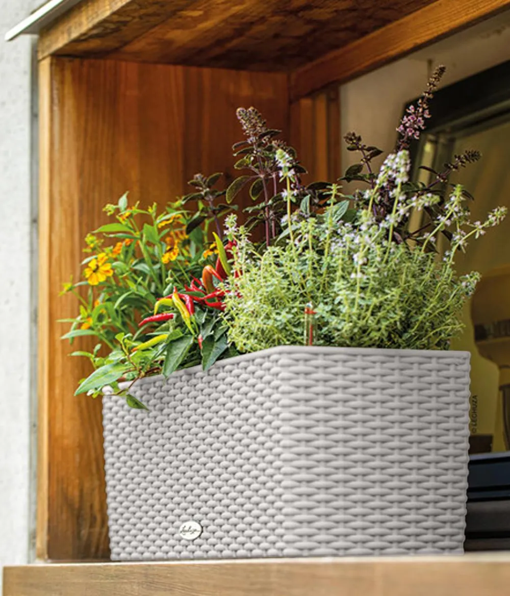 LECHUZA® Pflanzkübel & Blumenkästen|Lechuza Pflanzgefäße & Töpfe - Kunststoff-Kasten Balconera Cottage, rechteckig Hellgrau