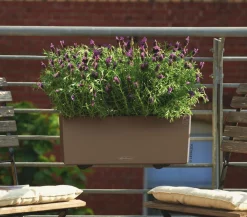 LECHUZA® Kunststoff-Kasten Balconera Color, rechteckig Braun Sale