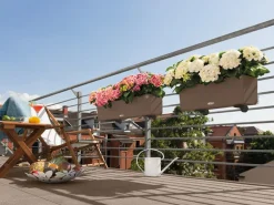 LECHUZA® Kunststoff-Kasten Balconera Color, rechteckig Braun Sale