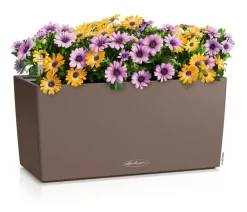 LECHUZA® Pflanzkübel & Blumenkästen|Lechuza Pflanzgefäße & Töpfe > Kunststoff-Kasten Balconera Stone, rechteckig