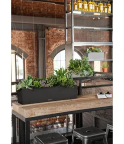 LECHUZA® Pflanzkübel & Blumenkästen|Lechuza Pflanzgefäße & Töpfe > Kunststoff-Kasten Balconera Stone, rechteckig