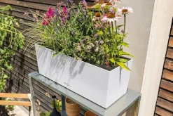 LECHUZA® Pflanzkübel & Blumenkästen|Lechuza Pflanzgefäße & Töpfe - Kunststoff-Kasten Balconera Color, rechteckig Hellbraun