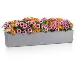 LECHUZA® Pflanzkübel & Blumenkästen|Lechuza Pflanzgefäße & Töpfe - Kunststoff-Kasten Balconera Stone, rechteckig Grau