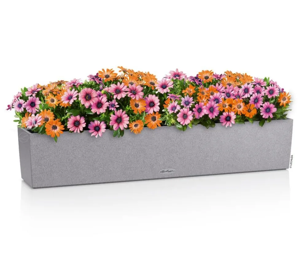 LECHUZA® Pflanzkübel & Blumenkästen|Lechuza Pflanzgefäße & Töpfe - Kunststoff-Kasten Balconera Stone, rechteckig Grau