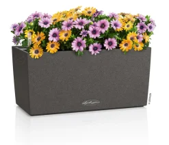 LECHUZA® Pflanzkübel & Blumenkästen|Lechuza Pflanzgefäße & Töpfe - Kunststoff-Kasten Balconera Stone, rechteckig Schwarz