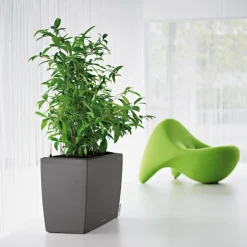 LECHUZA® Pflanzkübel & Blumenkästen|Lechuza Pflanzgefäße & Töpfe > Kunststoff-Kasten CARARO All-in-One-Set, rechteckig, ca. B75/H43/T30 cm