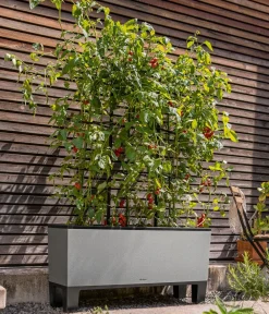LECHUZA® Kunststoff-Kasten Trio Stone inkl. Pflanzeinsatz, rechteckig, ca. B132,5/H46,5/T44,5 cm Grau Best