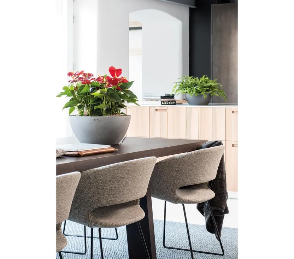 LECHUZA® Blumenampeln & -Schalen|Lechuza Pflanzgefäße & Töpfe > Kunststoff-Schale 'Cubeto Stone', rund