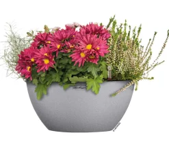 LECHUZA® Blumenampeln & -Schalen|Lechuza Pflanzgefäße & Töpfe > Kunststoff-Schale 'Cubeto Stone', rund