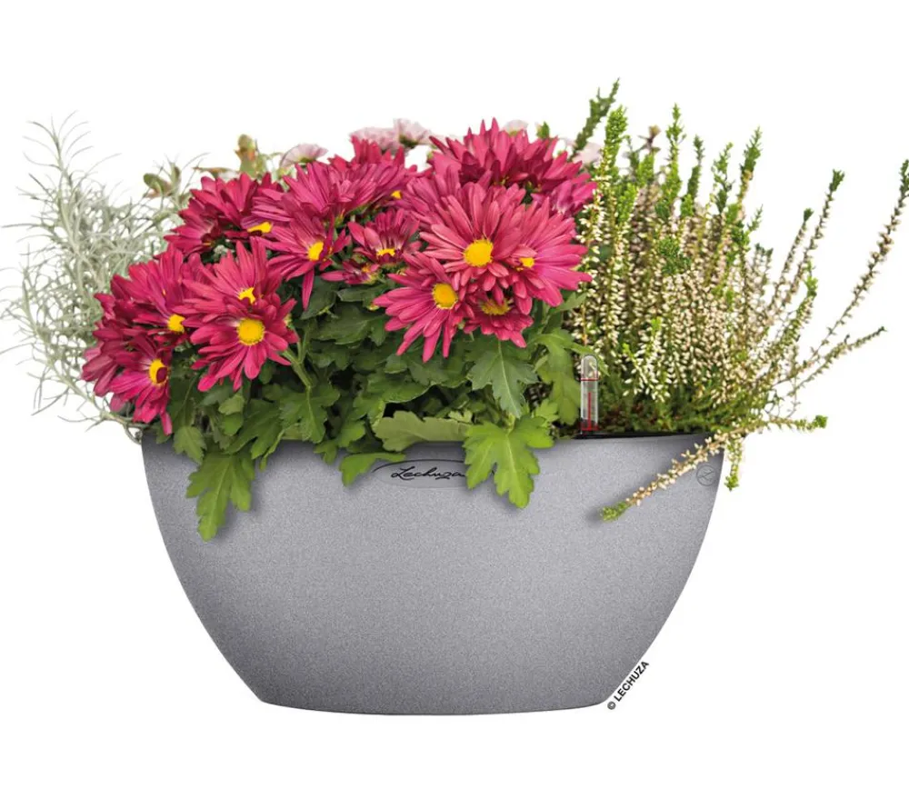 LECHUZA® Blumenampeln & -Schalen|Lechuza Pflanzgefäße & Töpfe > Kunststoff-Schale 'Cubeto Stone', rund