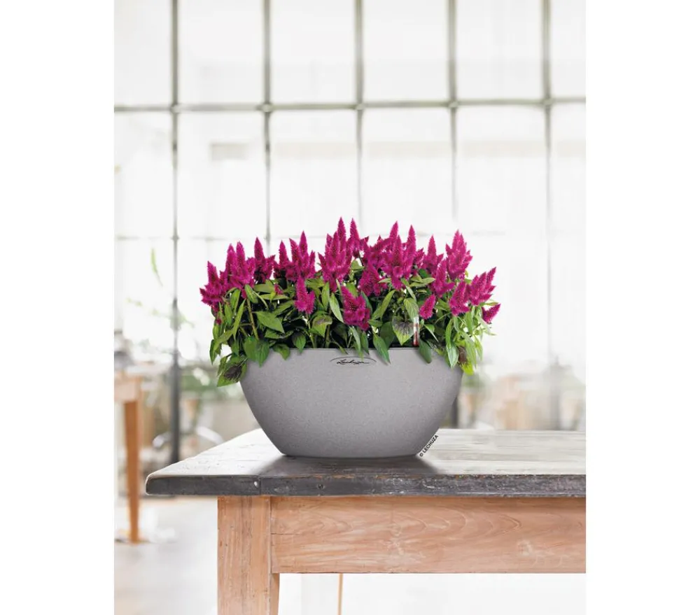 LECHUZA® Blumenampeln & -Schalen|Lechuza Pflanzgefäße & Töpfe > Kunststoff-Schale 'Cubeto Stone', rund
