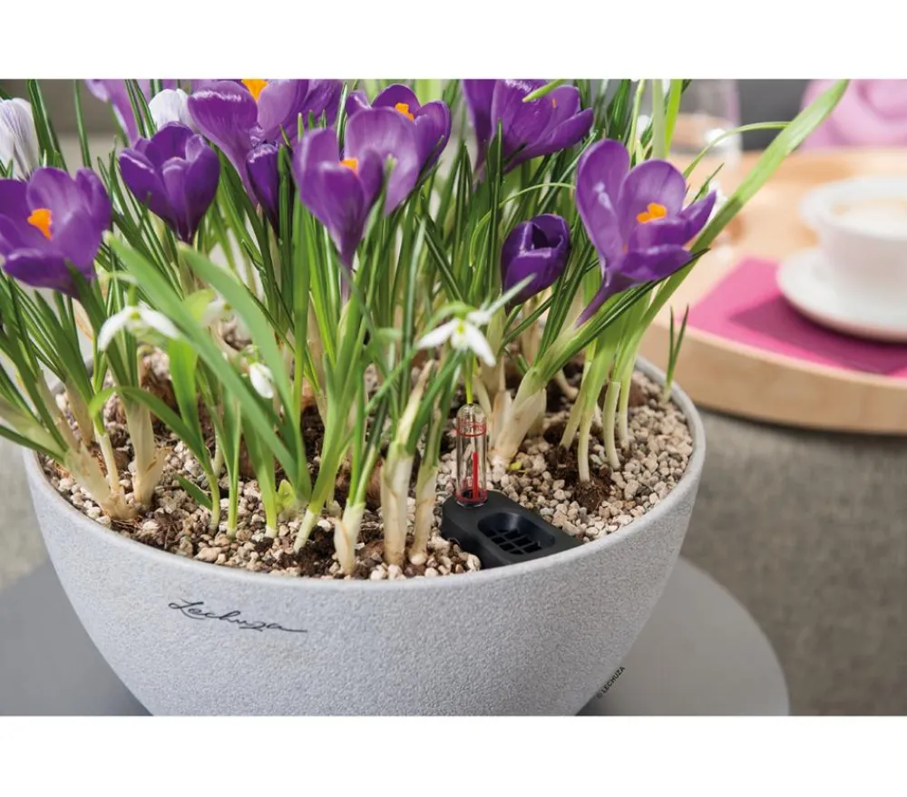 LECHUZA® Blumenampeln & -Schalen|Lechuza Pflanzgefäße & Töpfe > Kunststoff-Schale 'Cubeto Stone', rund