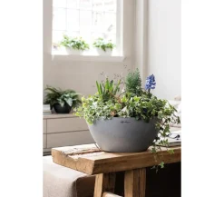 LECHUZA® Blumenampeln & -Schalen|Lechuza Pflanzgefäße & Töpfe > Kunststoff-Schale 'Cubeto Stone', rund