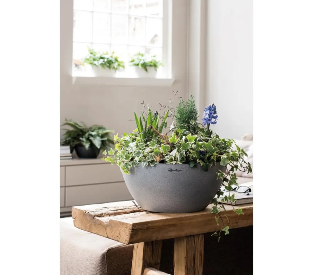 LECHUZA® Blumenampeln & -Schalen|Lechuza Pflanzgefäße & Töpfe > Kunststoff-Schale 'Cubeto Stone', rund