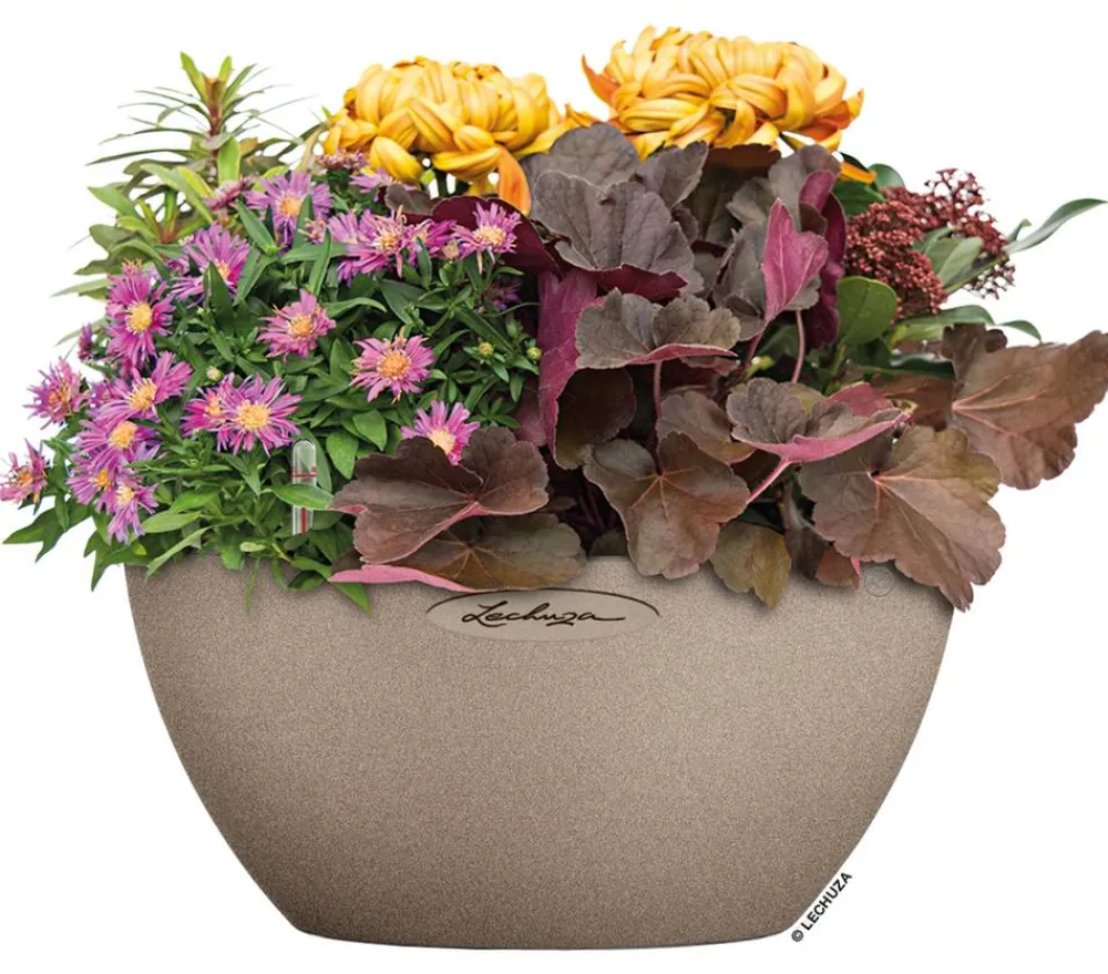 LECHUZA® Blumenampeln & -Schalen|Lechuza Pflanzgefäße & Töpfe > Kunststoff-Schale 'Cubeto Stone', rund