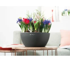 LECHUZA® Kunststoff-Schale 'Cubeto Stone', rund Schwarz
