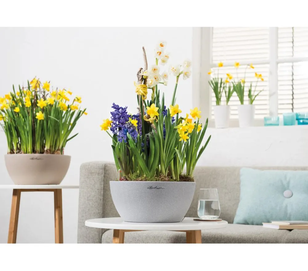 LECHUZA® Blumenampeln & -Schalen|Lechuza Pflanzgefäße & Töpfe - Kunststoff-Schale 'Cubeto Stone', rund Hellgrau
