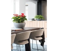 LECHUZA® Blumenampeln & -Schalen|Lechuza Pflanzgefäße & Töpfe - Kunststoff-Schale 'Cubeto Stone', rund Hellgrau