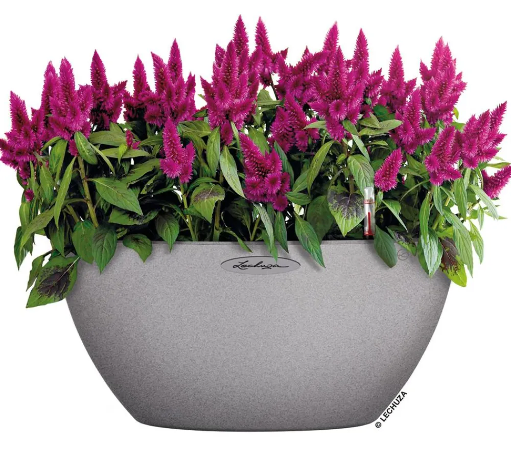 LECHUZA® Blumenampeln & -Schalen|Lechuza Pflanzgefäße & Töpfe - Kunststoff-Schale 'Cubeto Stone', rund Hellgrau