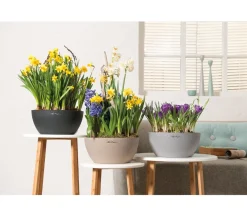 LECHUZA® Blumenampeln & -Schalen|Lechuza Pflanzgefäße & Töpfe - Kunststoff-Schale 'Cubeto Stone', rund Hellgrau