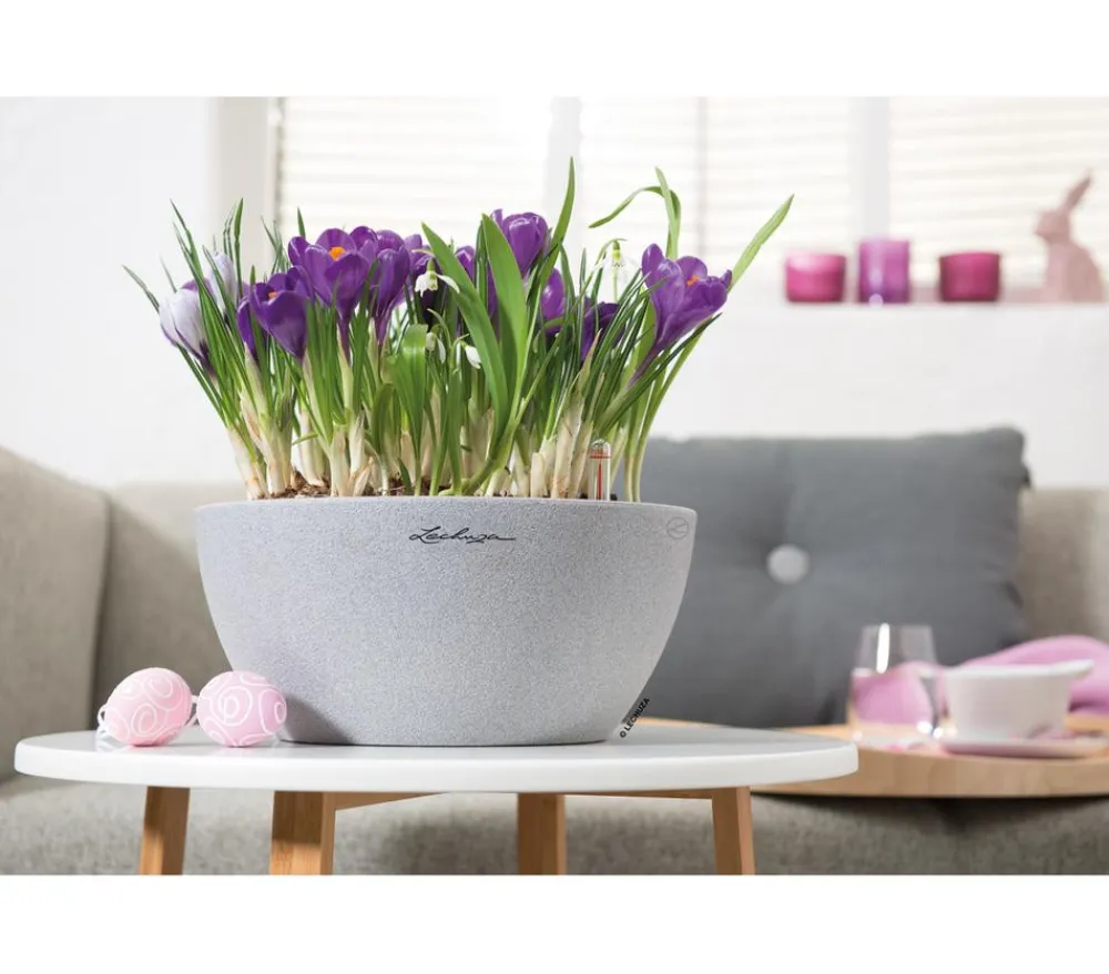 LECHUZA® Blumenampeln & -Schalen|Lechuza Pflanzgefäße & Töpfe - Kunststoff-Schale 'Cubeto Stone', rund Hellgrau