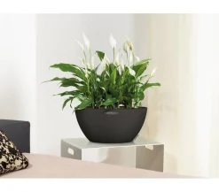 LECHUZA® Blumenampeln & -Schalen|Lechuza Pflanzgefäße & Töpfe - Kunststoff-Schale 'Cubeto Stone', rund Schwarz