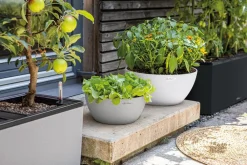 LECHUZA® Blumenampeln & -Schalen|Lechuza Pflanzgefäße & Töpfe - Kunststoff-Schale 'Cubeto Stone', rund Weiß