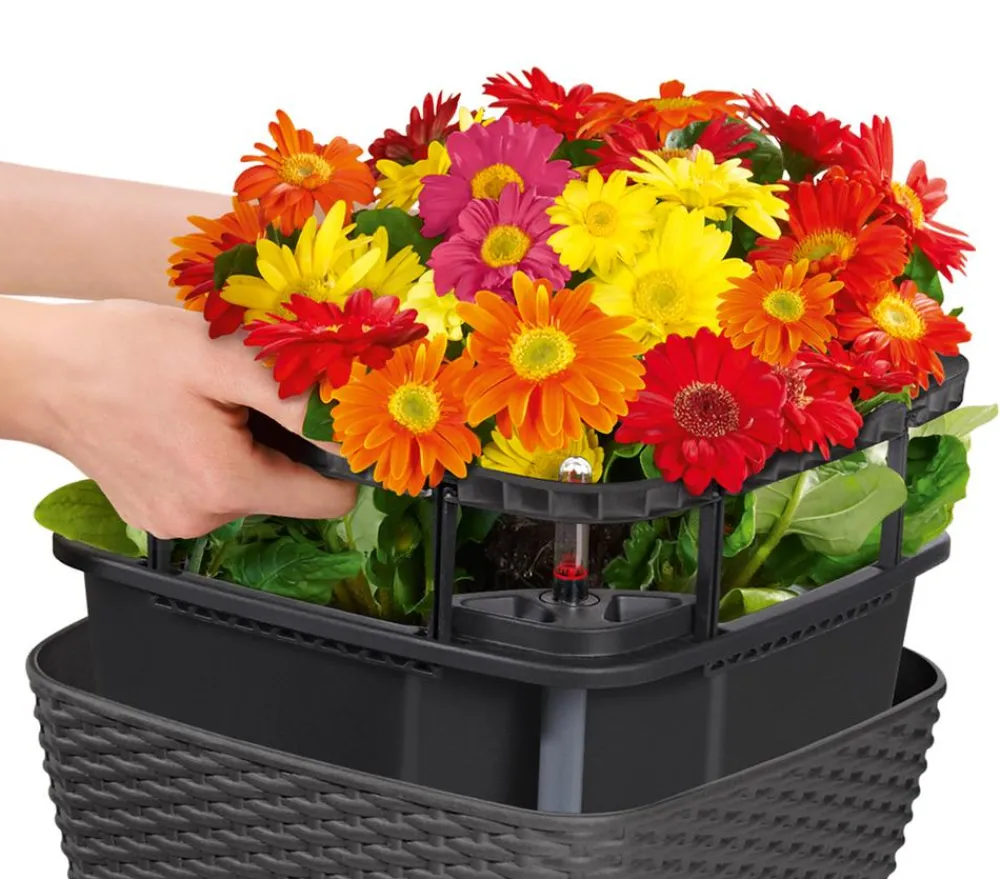 LECHUZA® Kunststoff-Topf Bacino Cottage, quadratisch, ca. B30/H18/T30 cm Dunkelgrau Discount