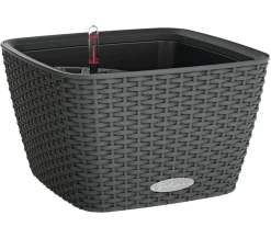LECHUZA® Kunststoff-Topf Bacino Cottage, quadratisch, ca. B30/H18/T30 cm Dunkelgrau Discount