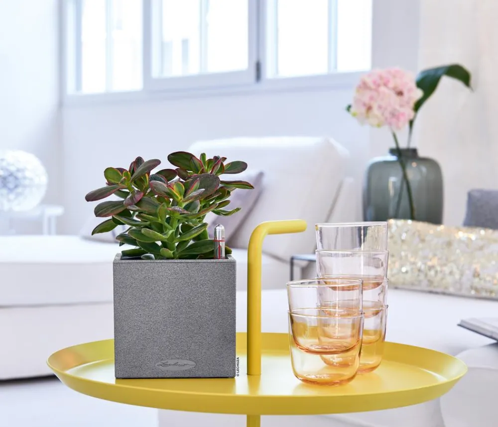LECHUZA® Lechuza Pflanzgefäße & Töpfe|Blumentöpfe & Übertöpfe > Kunststoff-Topf Canto Stone, eckig, ca. B14/H13,5/T14 cm