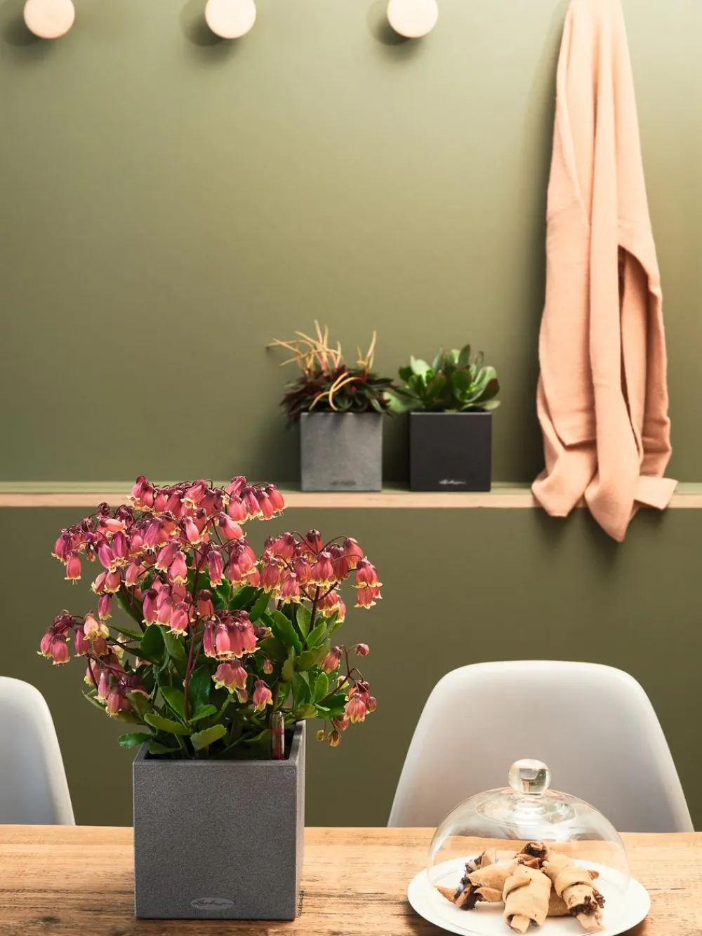LECHUZA® Lechuza Pflanzgefäße & Töpfe|Blumentöpfe & Übertöpfe - Kunststoff-Topf Canto Stone, eckig, ca. B14/H13,5/T14 cm Schwarz