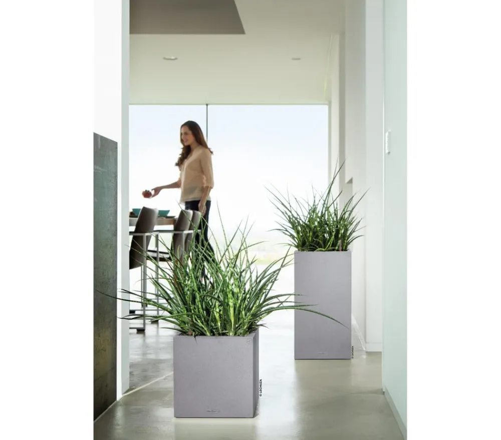 LECHUZA® Lechuza Pflanzgefäße & Töpfe|Blumentöpfe & Übertöpfe > Kunststoff-Topf Canto Stone, quadratisch