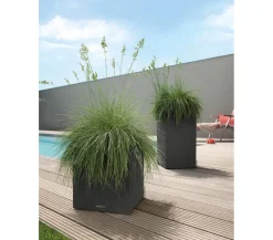 LECHUZA® Lechuza Pflanzgefäße & Töpfe|Blumentöpfe & Übertöpfe > Kunststoff-Topf Canto Stone, quadratisch