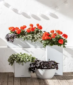 LECHUZA® Lechuza Pflanzgefäße & Töpfe|Blumentöpfe & Übertöpfe > Kunststoff-Topf Canto Stone, quadratisch