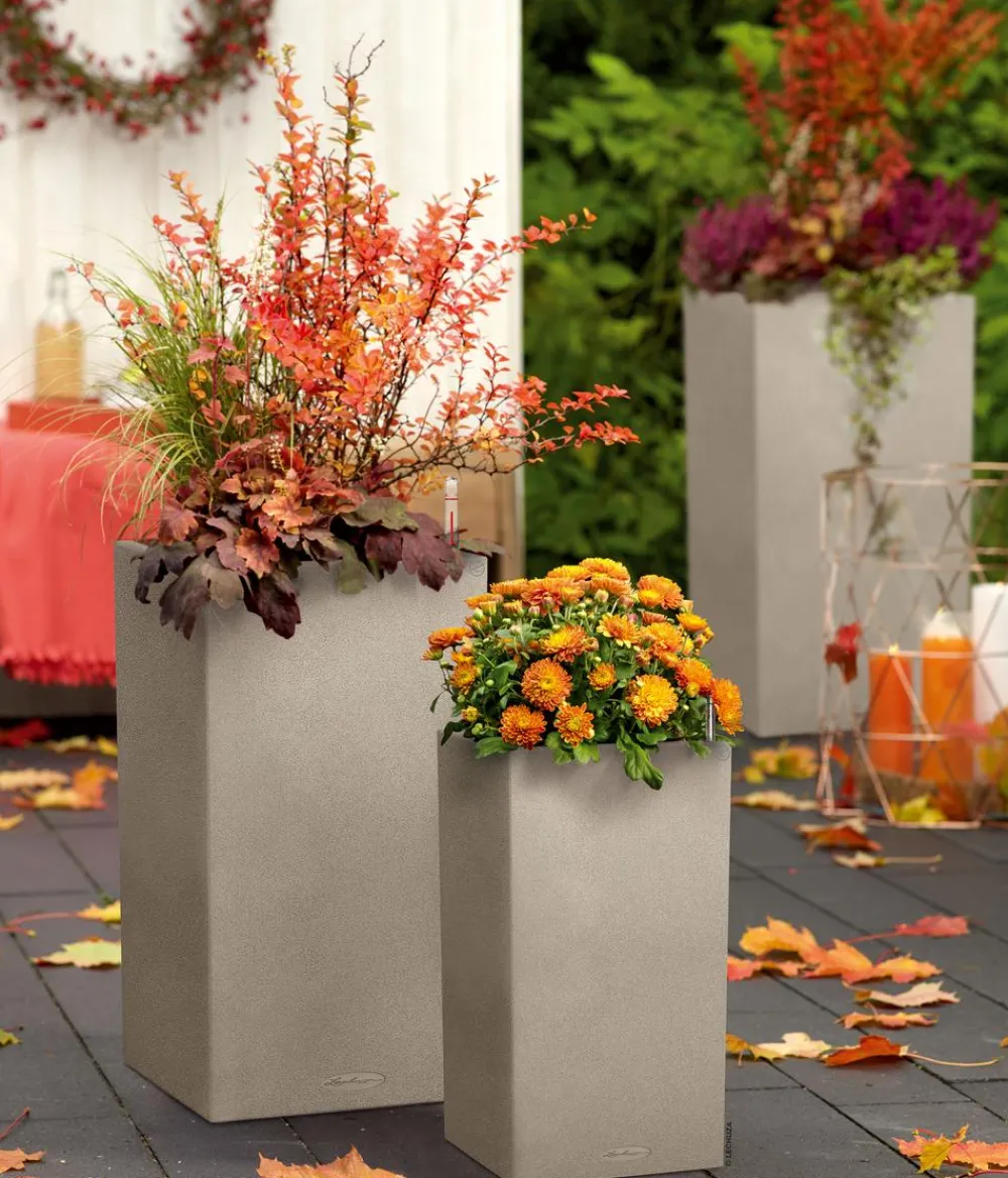 LECHUZA® Lechuza Pflanzgefäße & Töpfe|Blumentöpfe & Übertöpfe > Kunststoff-Topf Canto Stone, quadratisch