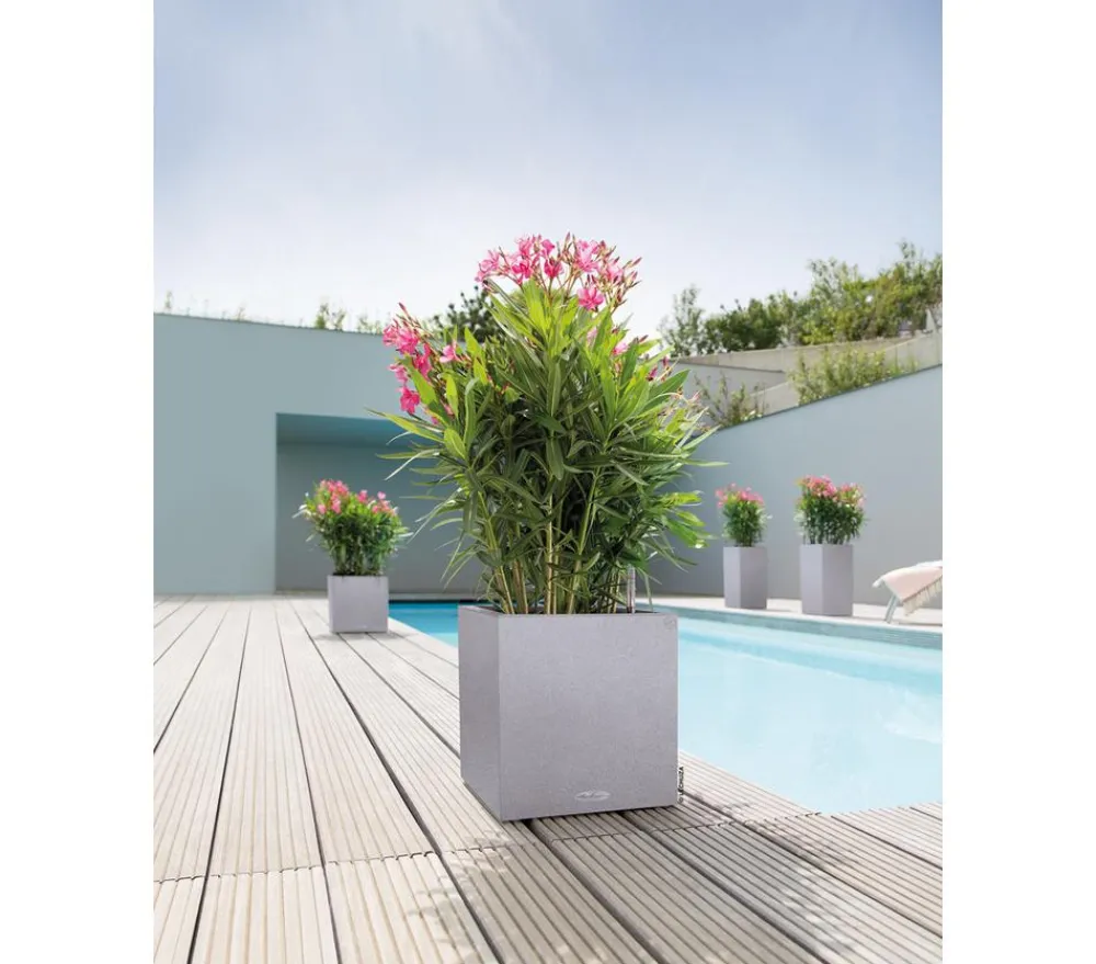 LECHUZA® Kunststoff-Topf Canto Stone, quadratisch Grau