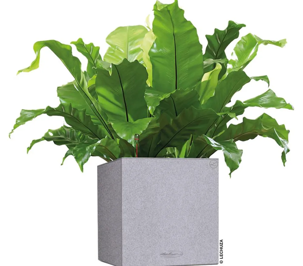 LECHUZA® Kunststoff-Topf Canto Stone, quadratisch Grau