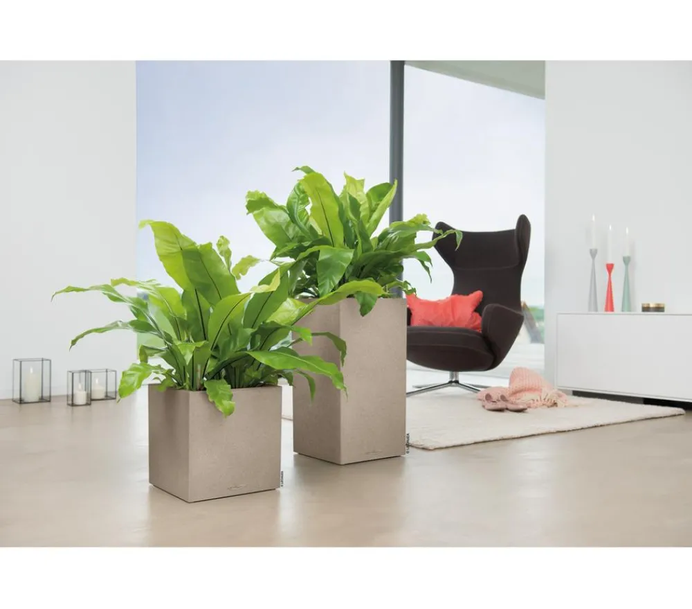 LECHUZA® Kunststoff-Topf Canto Stone, quadratisch Beige Outlet