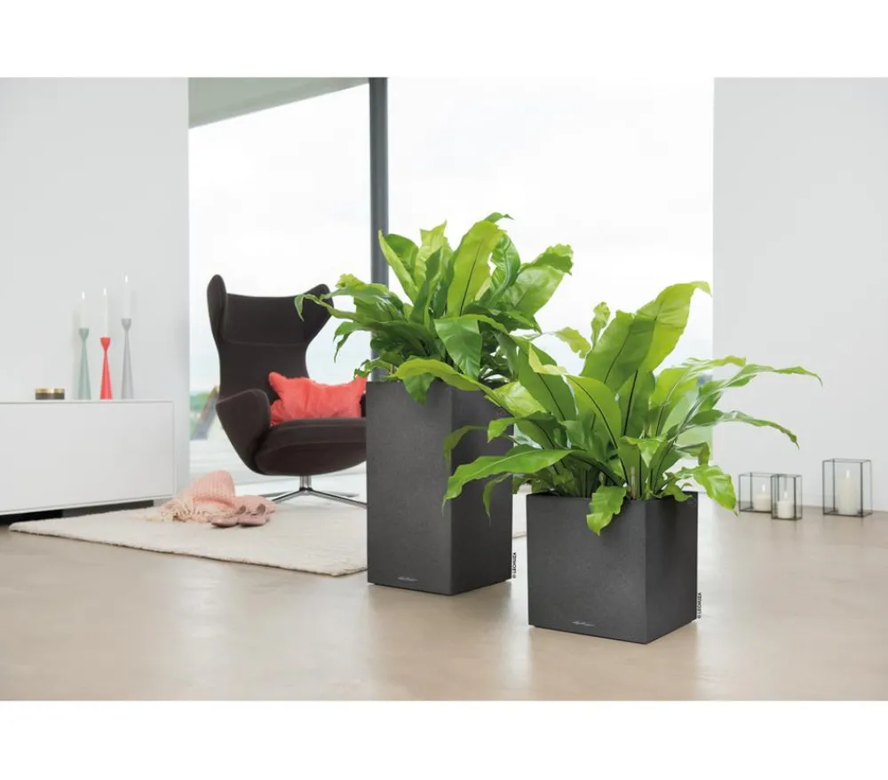 LECHUZA® Lechuza Pflanzgefäße & Töpfe|Blumentöpfe & Übertöpfe - Kunststoff-Topf Canto Stone, quadratisch Dunkelgrau