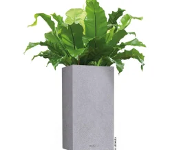 LECHUZA® Lechuza Pflanzgefäße & Töpfe|Blumentöpfe & Übertöpfe - Kunststoff-Topf Canto Stone, quadratisch Grau